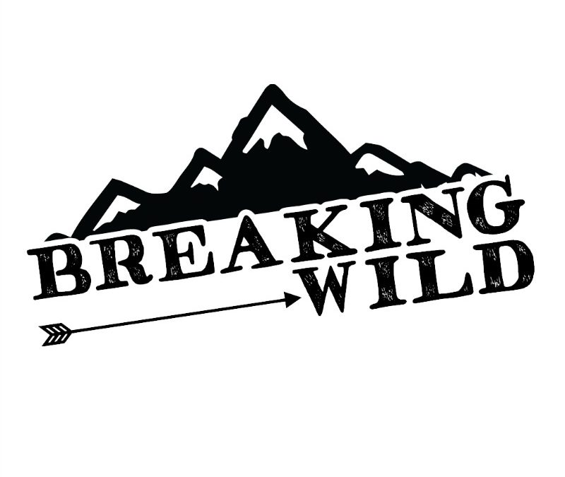 Breaking Wild